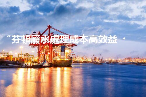 “芬頓廢水處理成本高效益，環(huán)保投資新選擇”